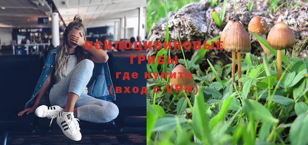 кокс Аркадак